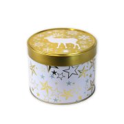 Closed small reindeer gingerbread tin Closed small reindeer gingerbread tin